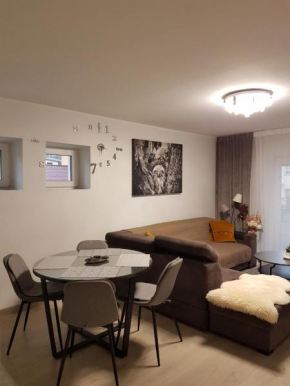 Kivi apartamentai Palangoje, Palanga